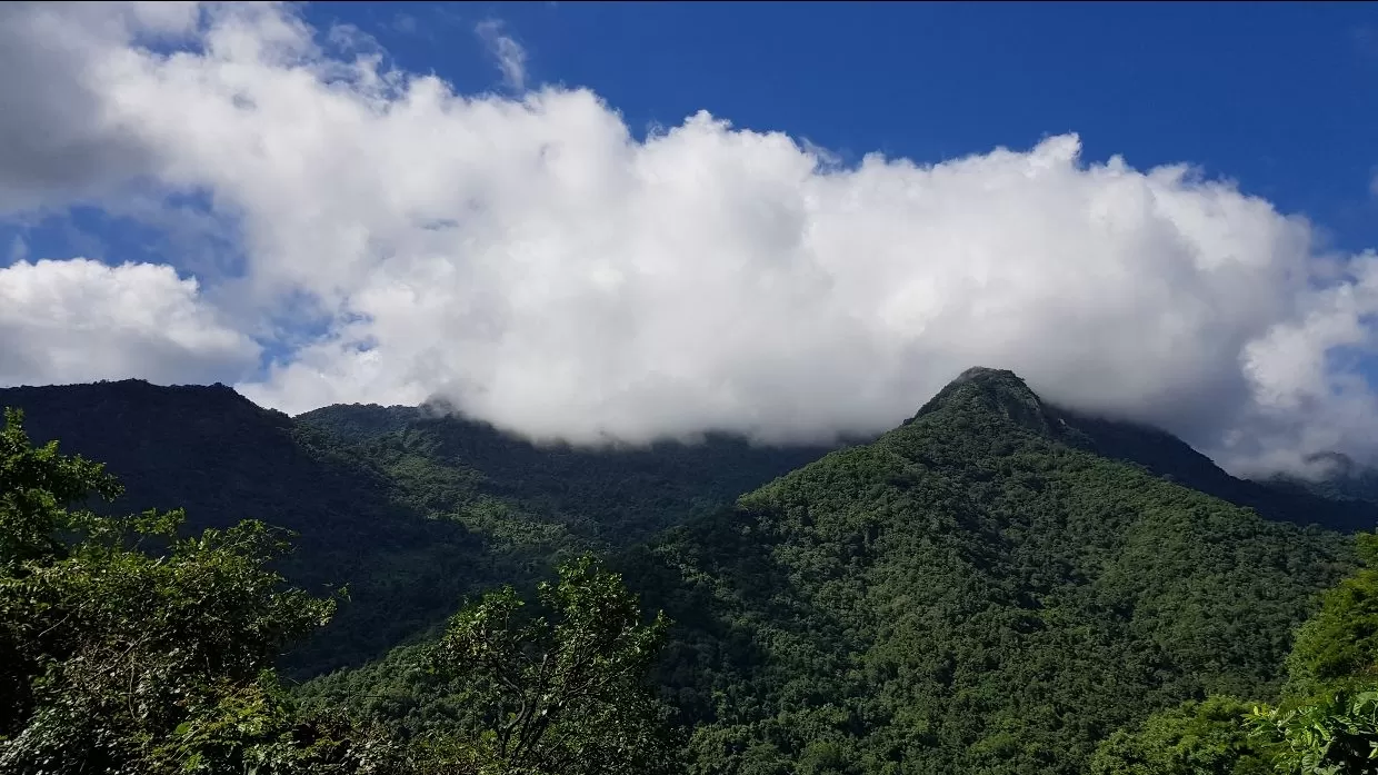 Photo of Ooty By Vidhata Mehta