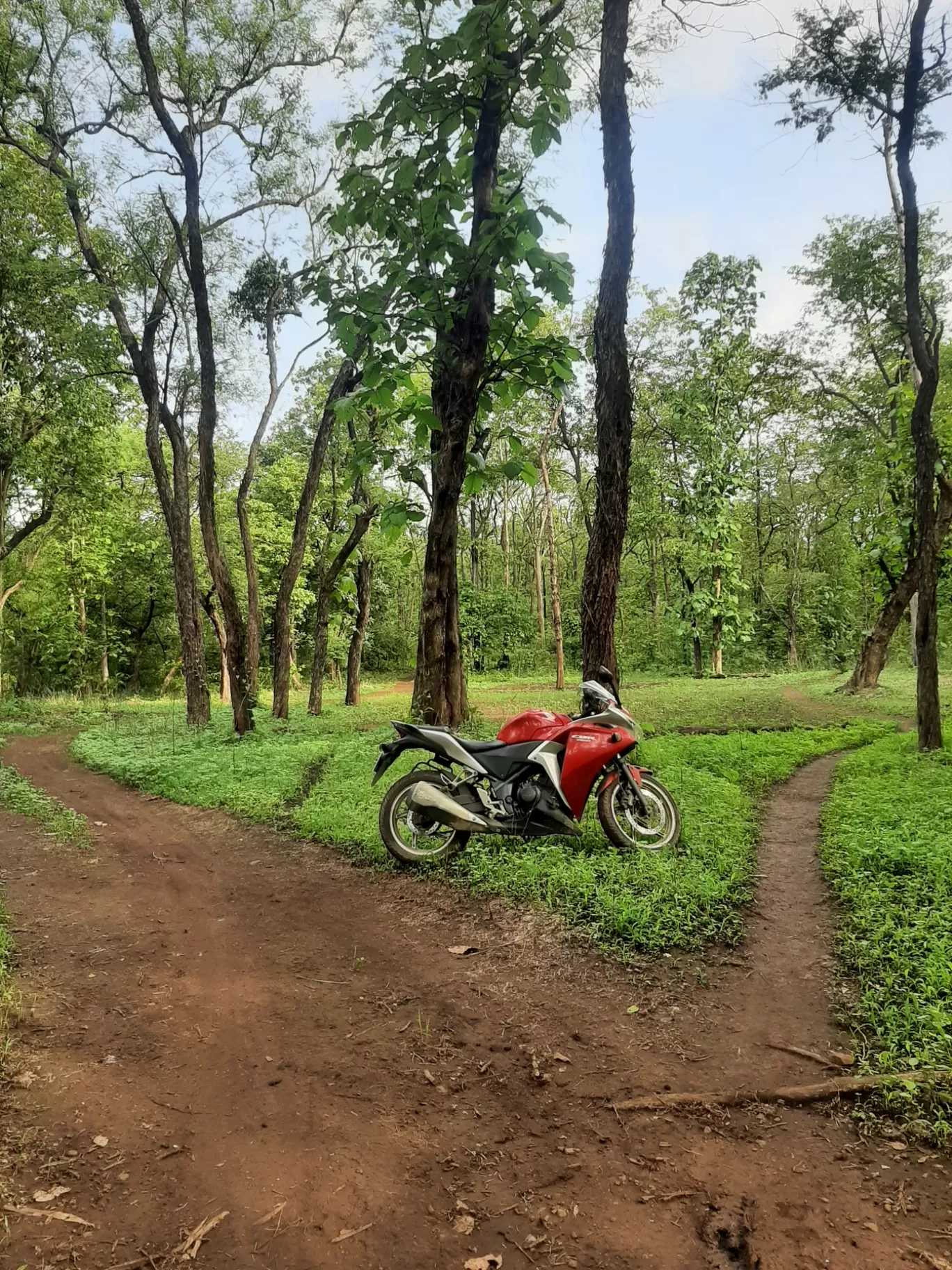 Photo of Tansa Wildlife Sanctury By Vaibhav Sonavale