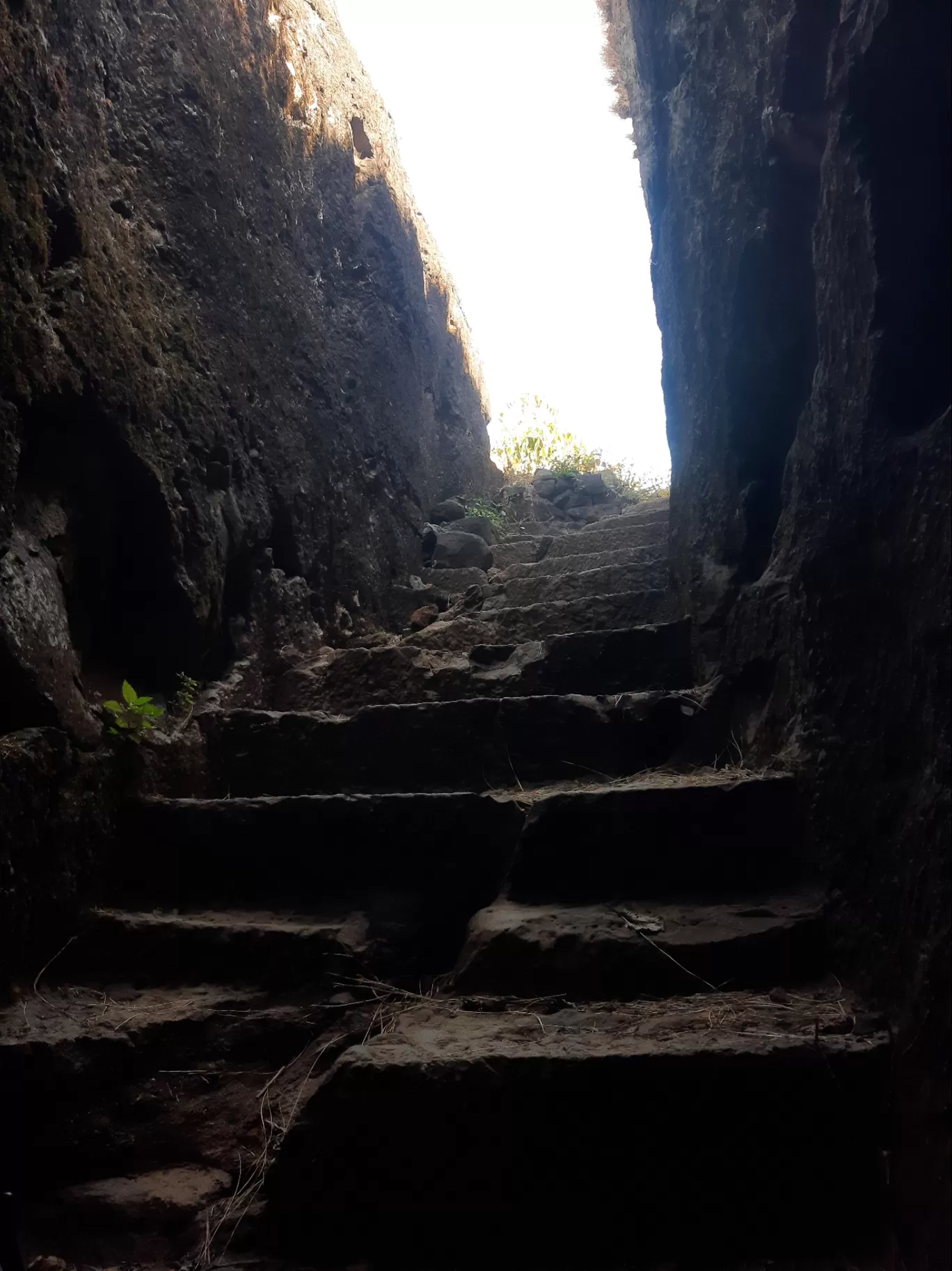 Photo of Bhaskargad By Vaibhav Sonavale