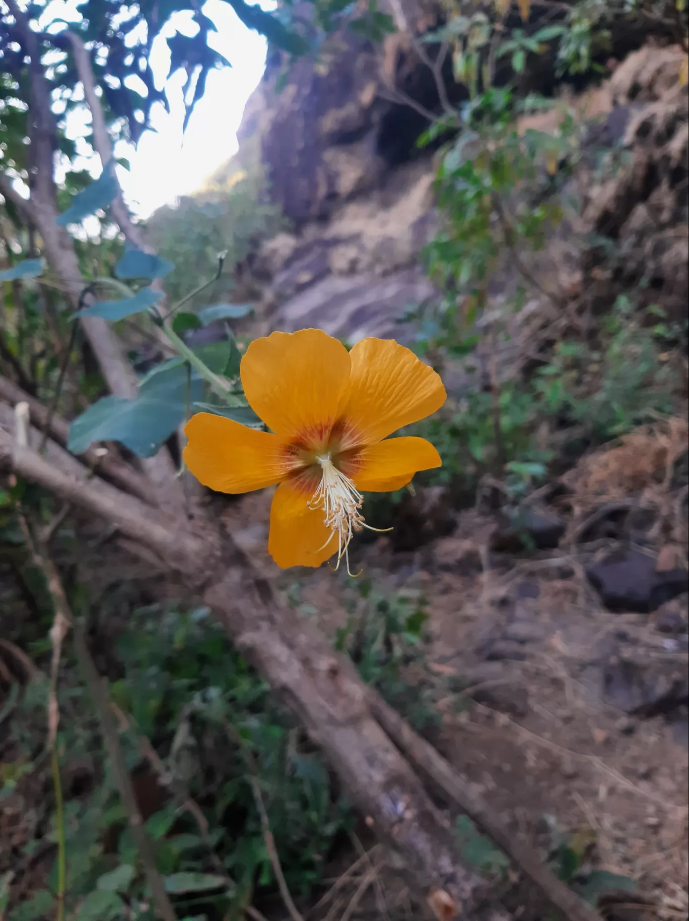 Photo of Bhaskargad By Vaibhav Sonavale