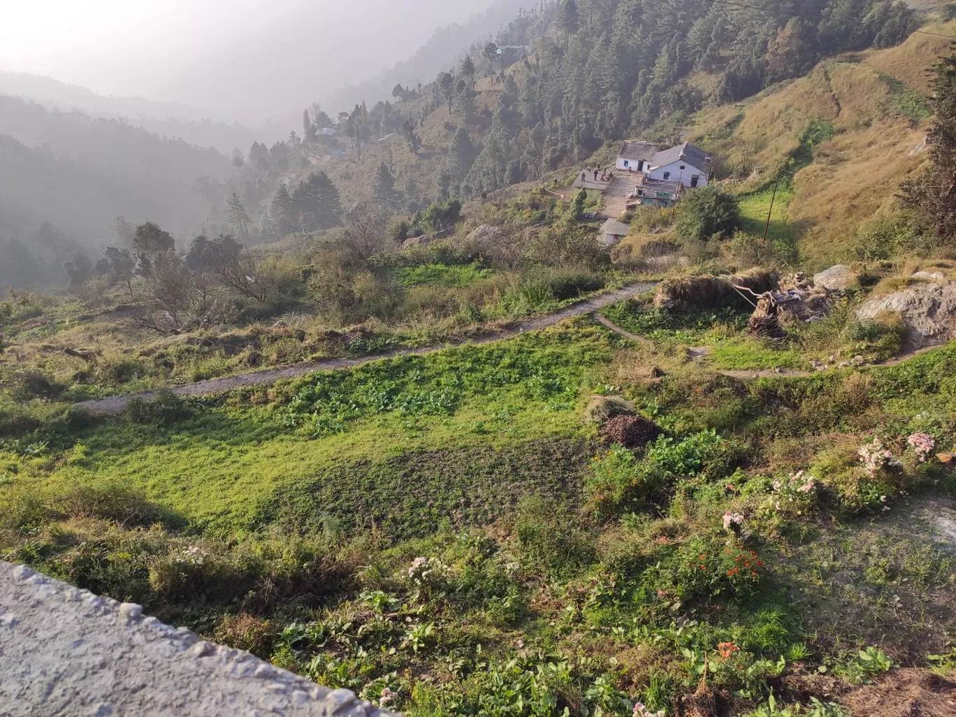 Photo of Nainital By Kanu Suyal