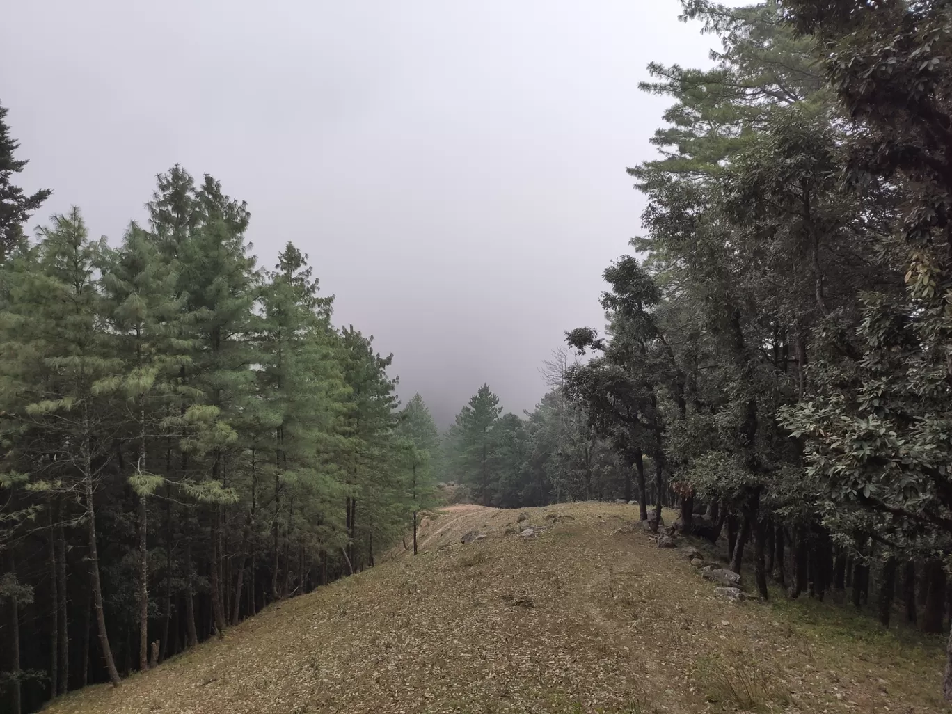 Photo of Nainital By Kanu Suyal