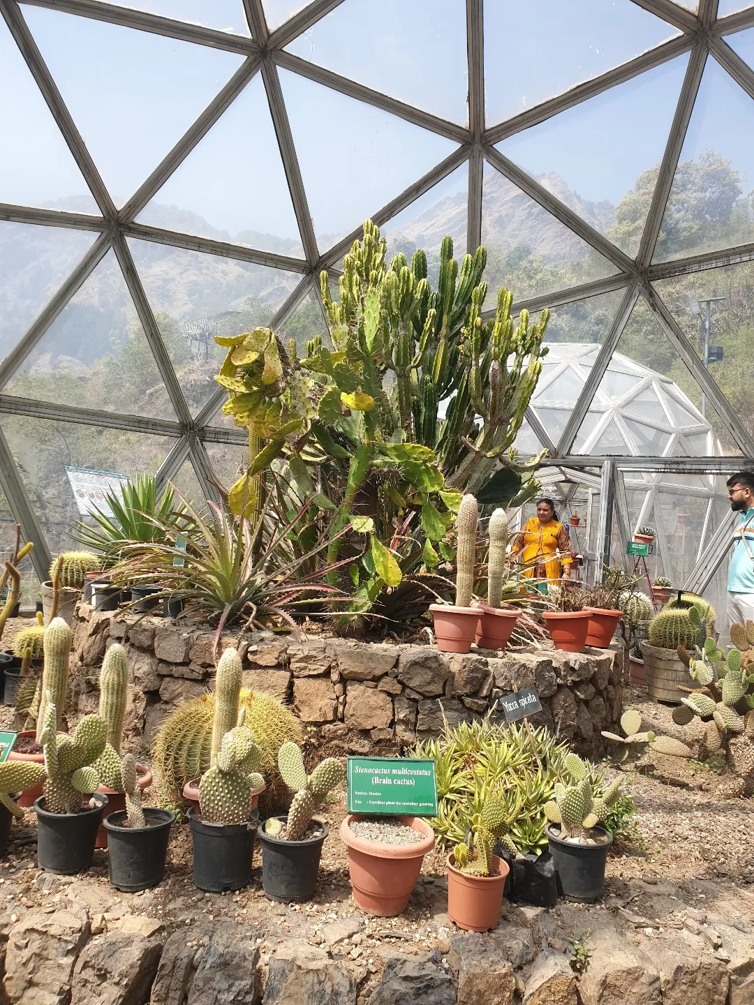 Photo of Himalayan Botanical Garden By Divya Anu