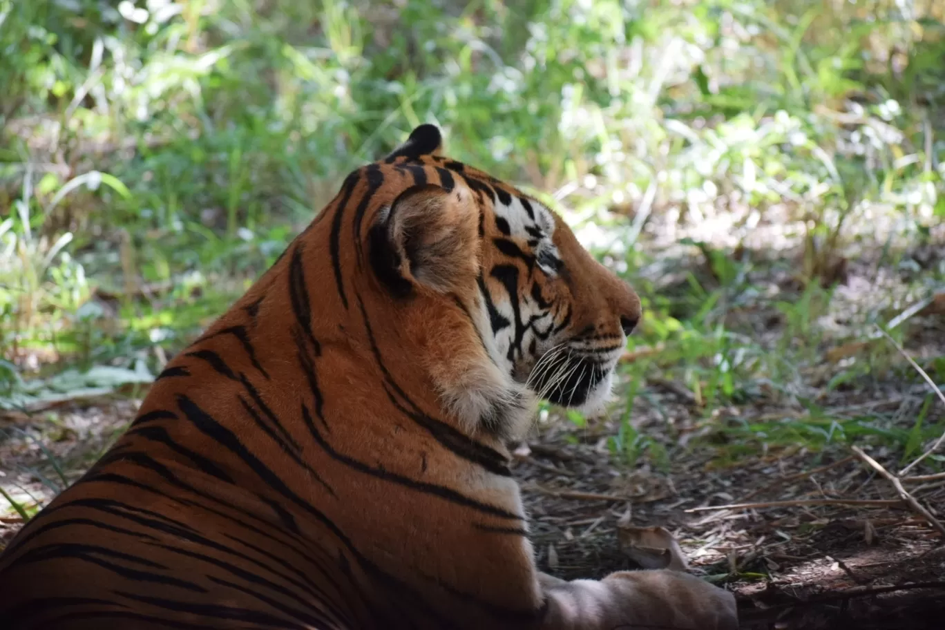 Photo of Bannerghatta Biological Park By Shubham Gupta