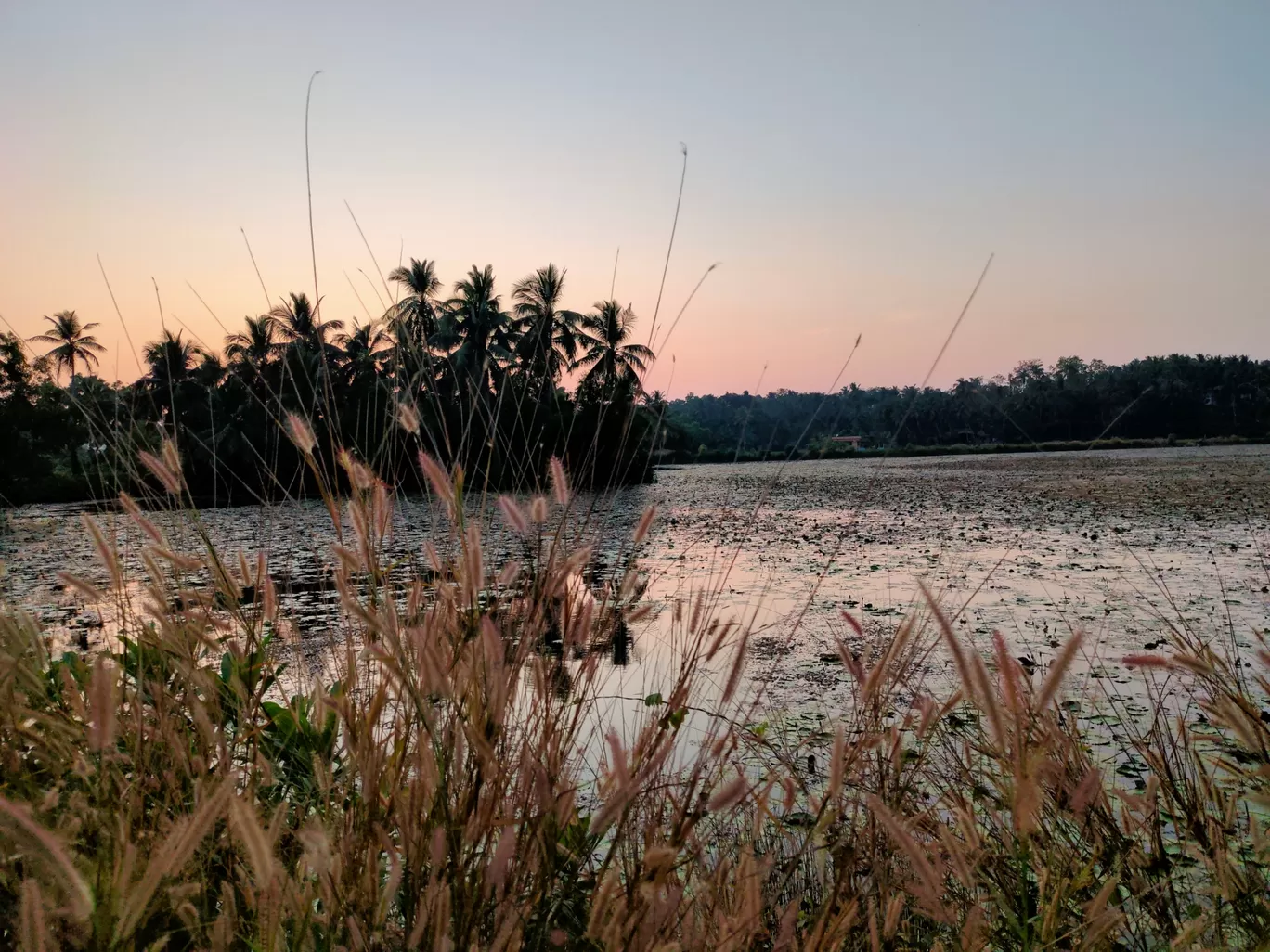 Photo of NITK Surathkal Beach By Kishan Joshi