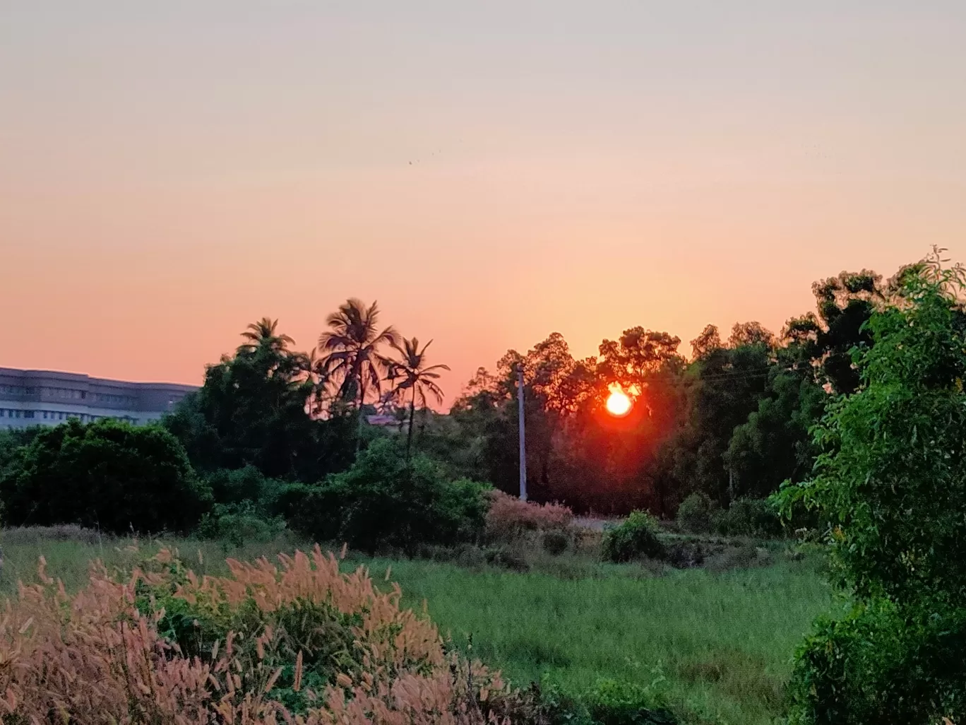 Photo of NITK Surathkal Beach By Kishan Joshi