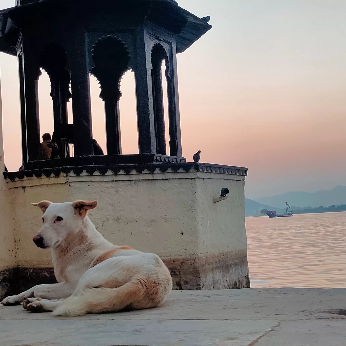 Photo of Udaipur By Kishan Joshi