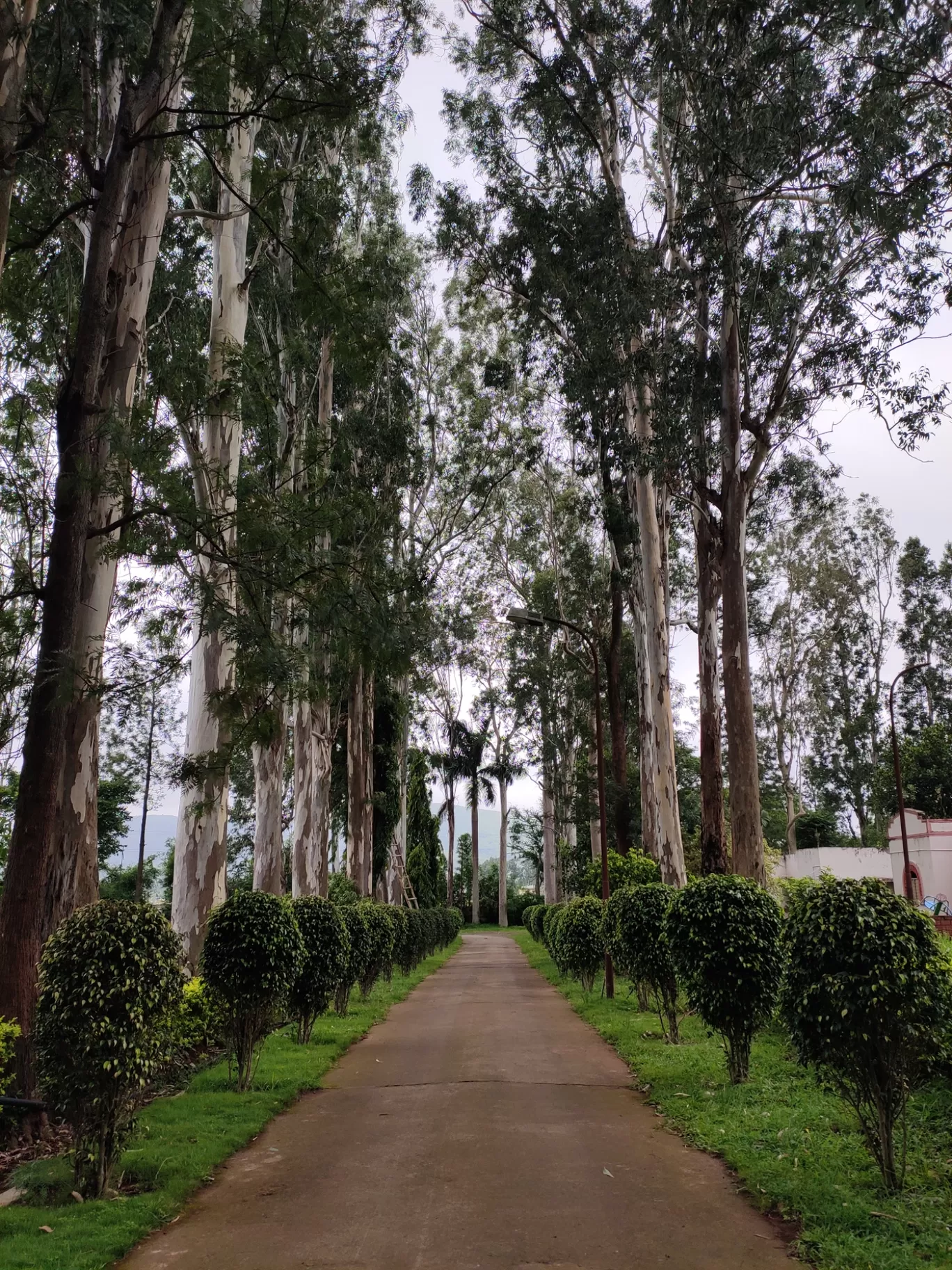 Photo of Vishakhapatnam By Jaya Dwivedi