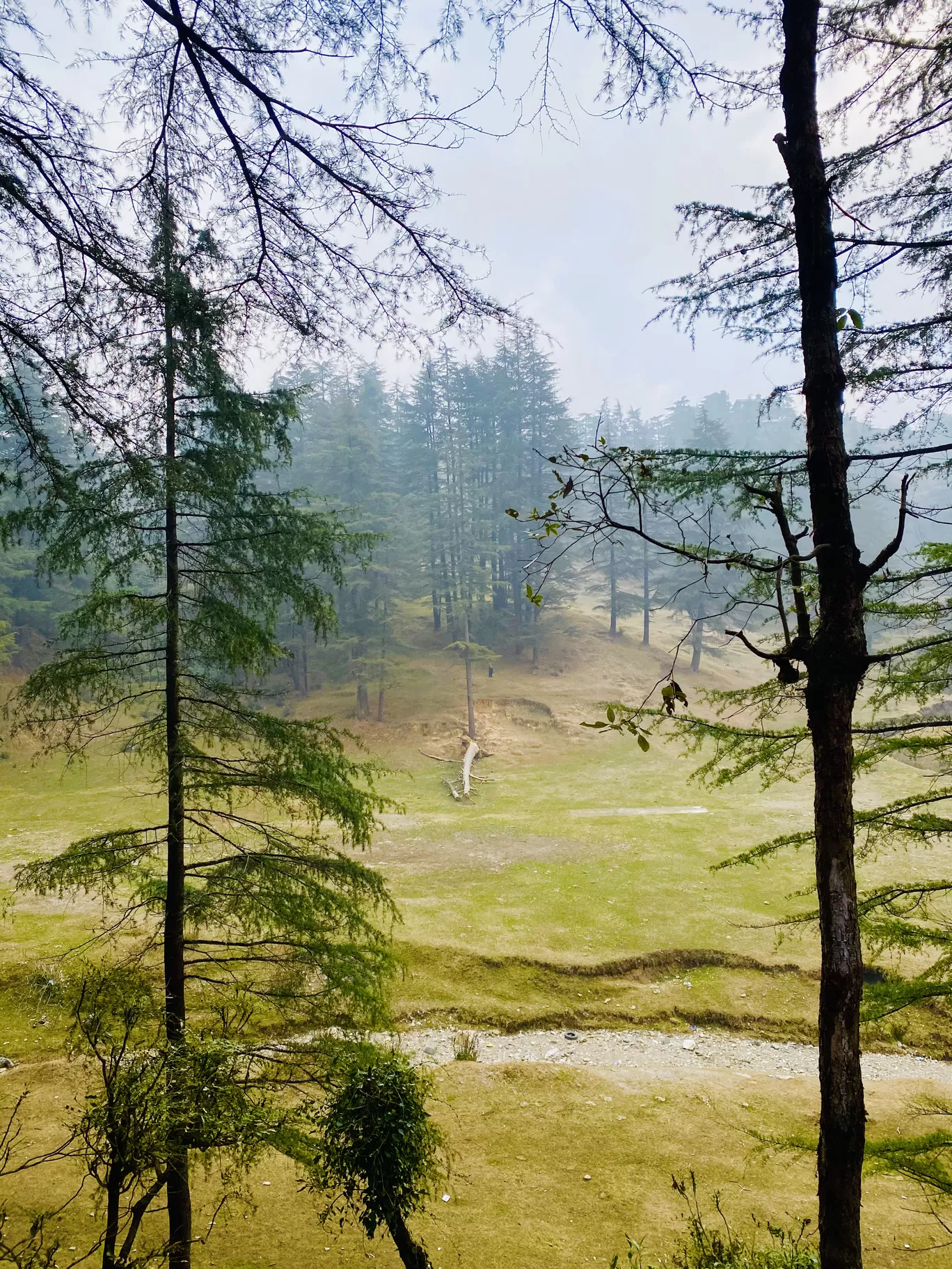 Photo of Mussoorie By Daydreamer_PB