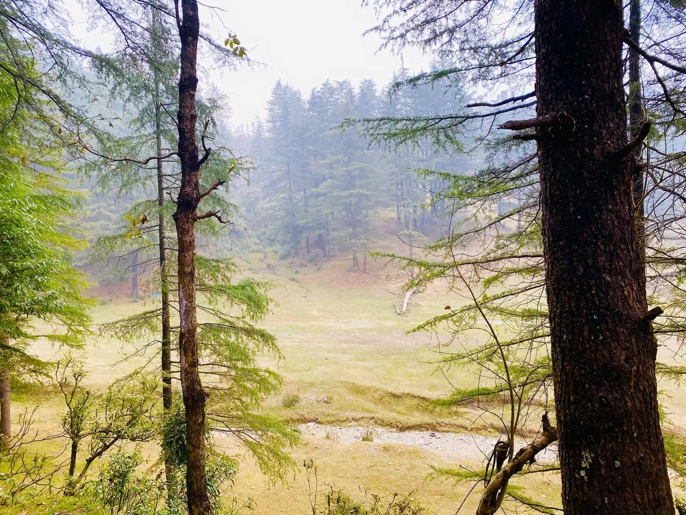 Photo of Mussoorie By Daydreamer_PB