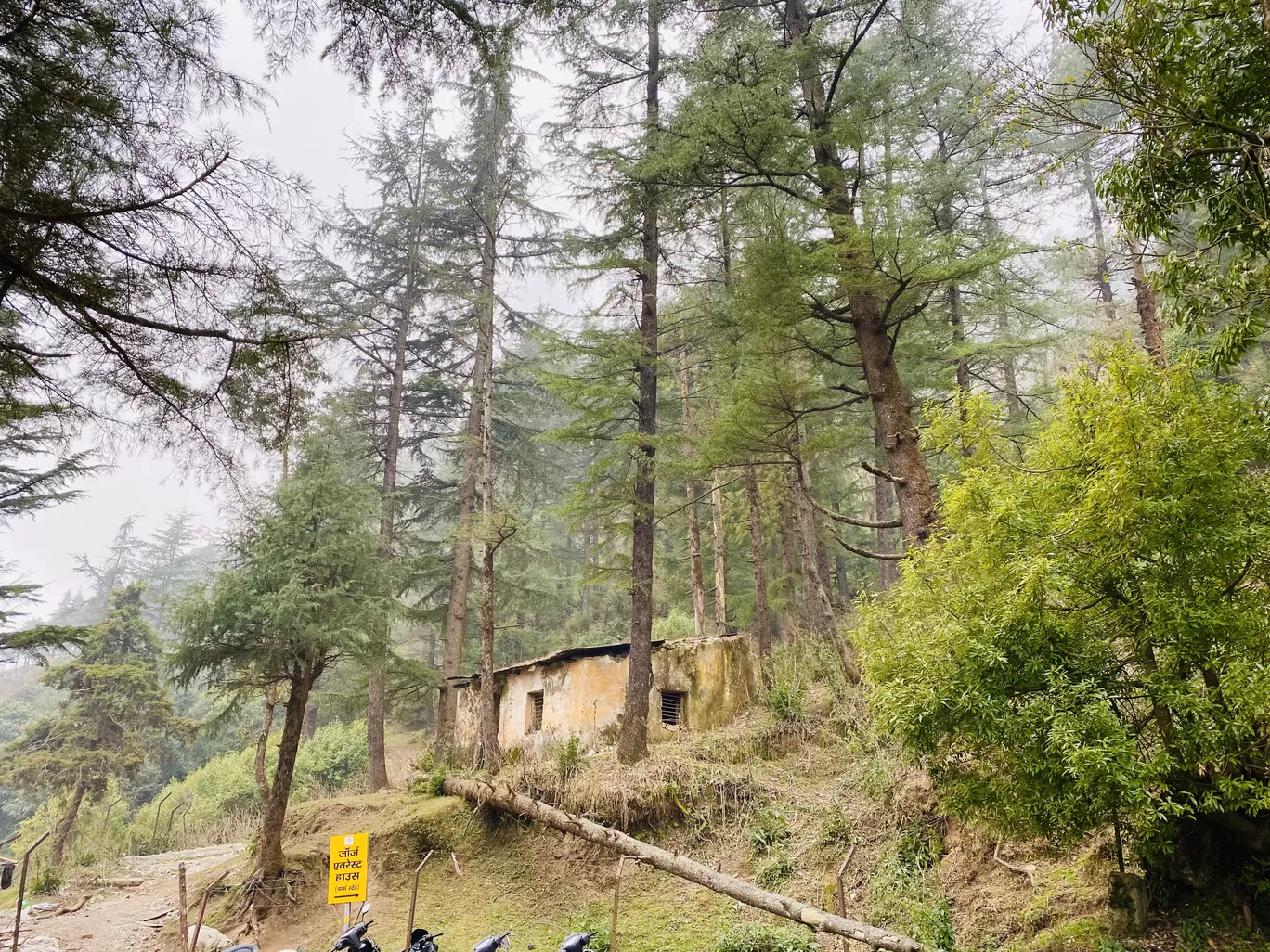 Photo of Mussoorie By Daydreamer_PB