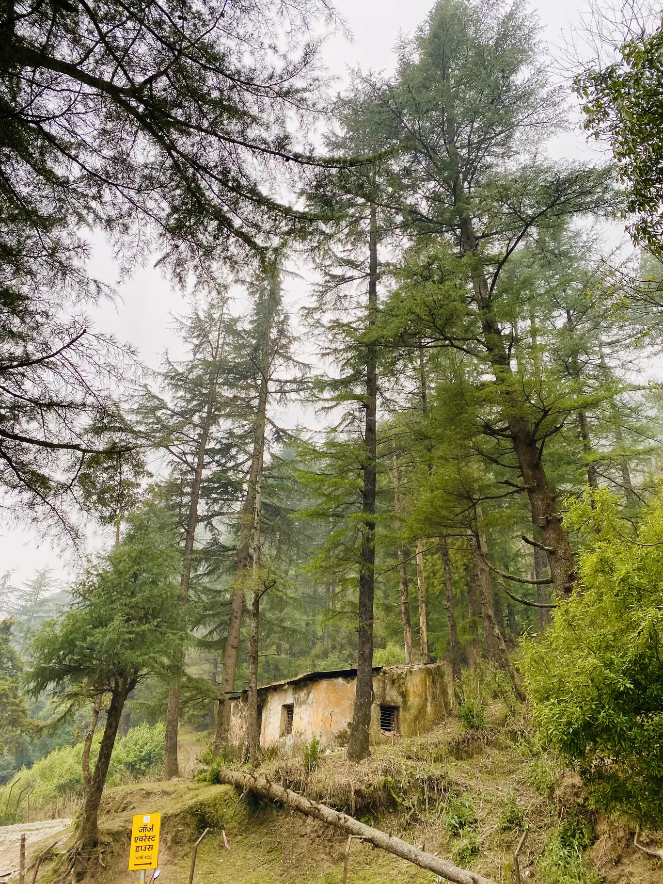 Photo of Mussoorie By Daydreamer_PB