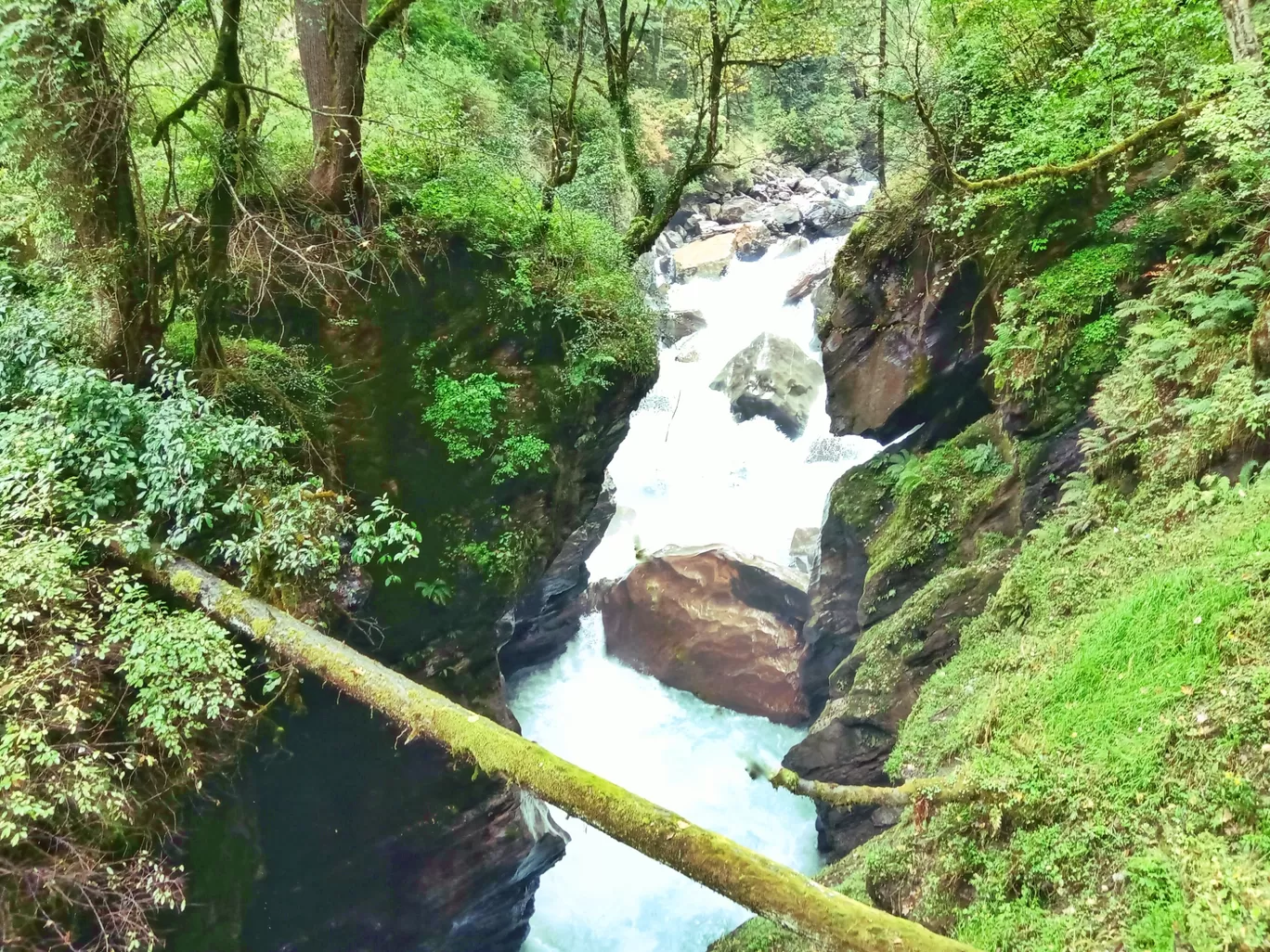 Photo of Barshaini By vishnu vinod