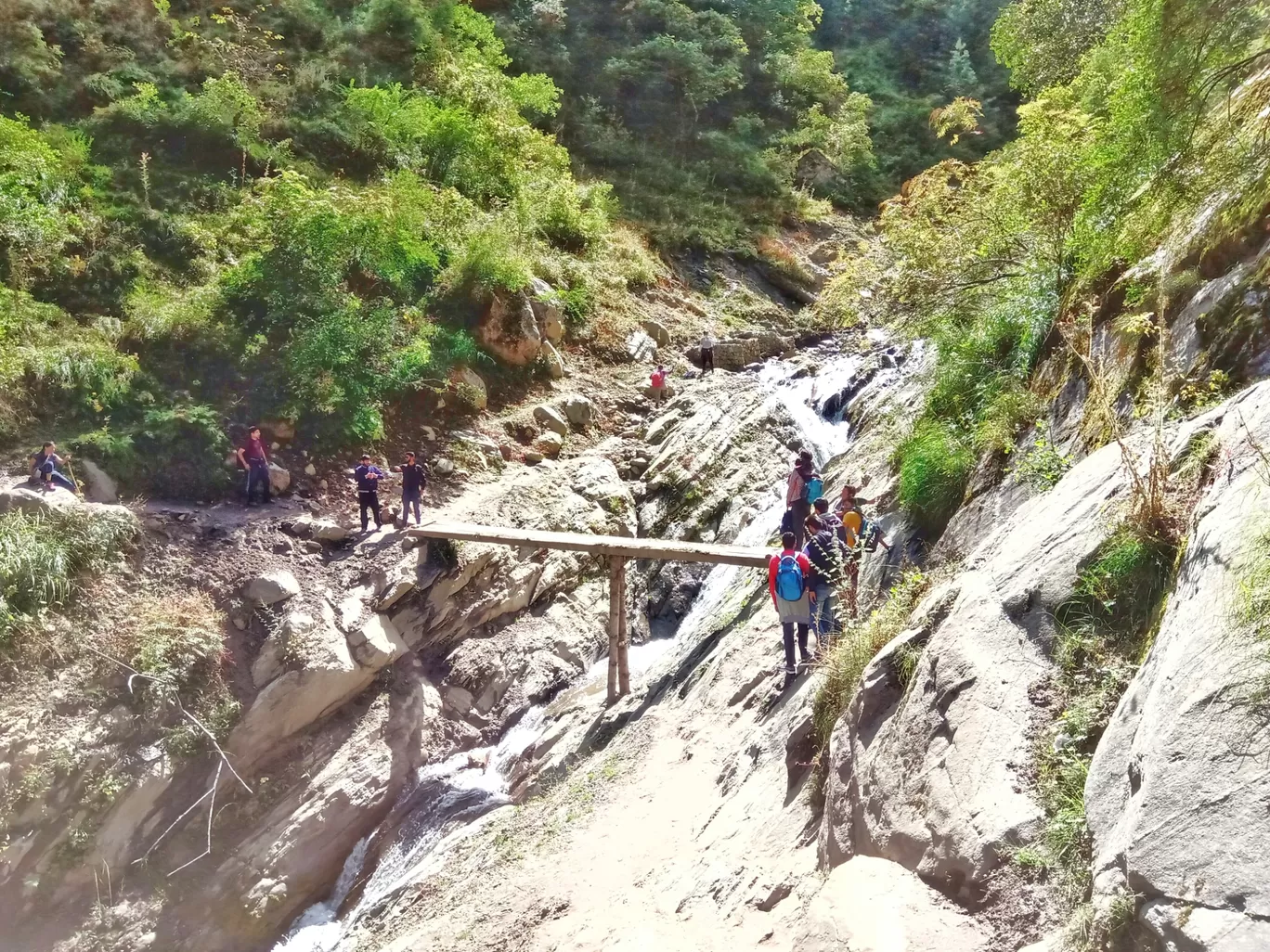 Photo of Barshaini By vishnu vinod