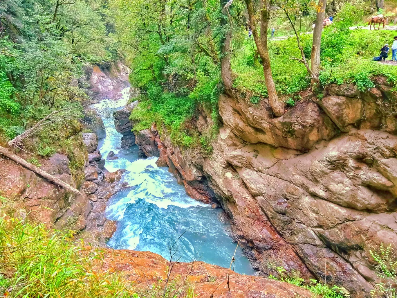 Photo of Barshaini By vishnu vinod