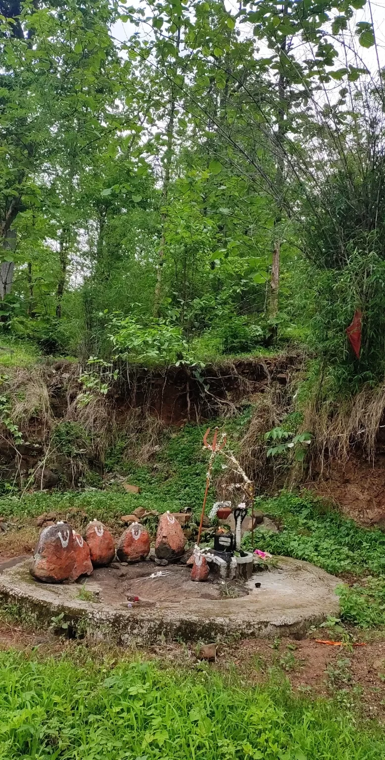 Photo of Dang By vijaya chaudhari