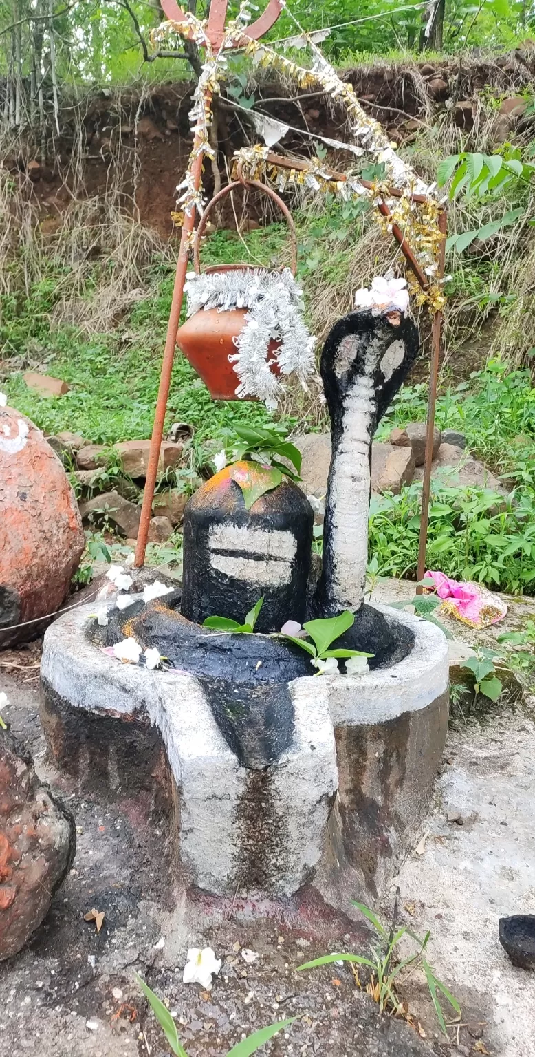 Photo of Dang By vijaya chaudhari