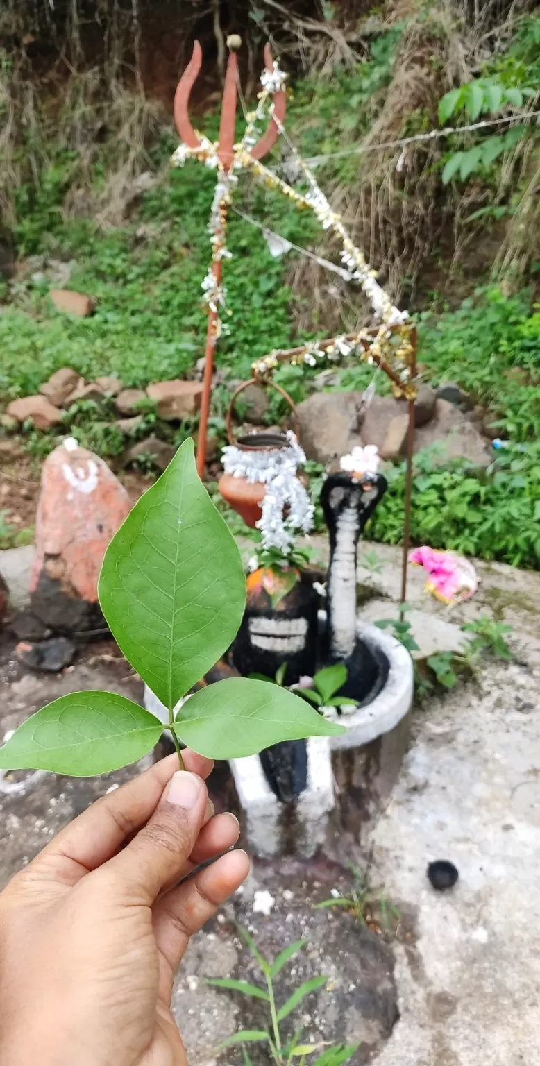Photo of Dang By vijaya chaudhari