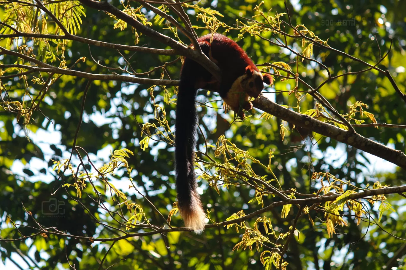 Photo of 900 kandi adventure By Nandhu Kumar