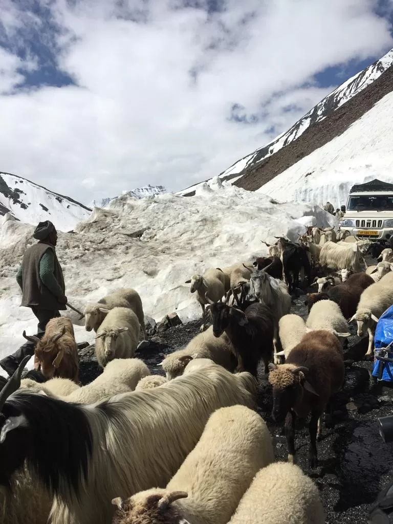 Photo of Ladakh By Prashant Sharma
