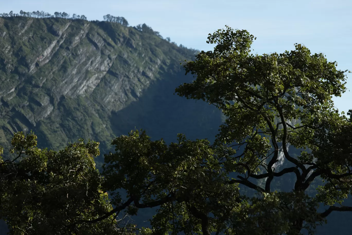 Photo of Vellagavi - Kodaikanal Trail By Anand Johnson