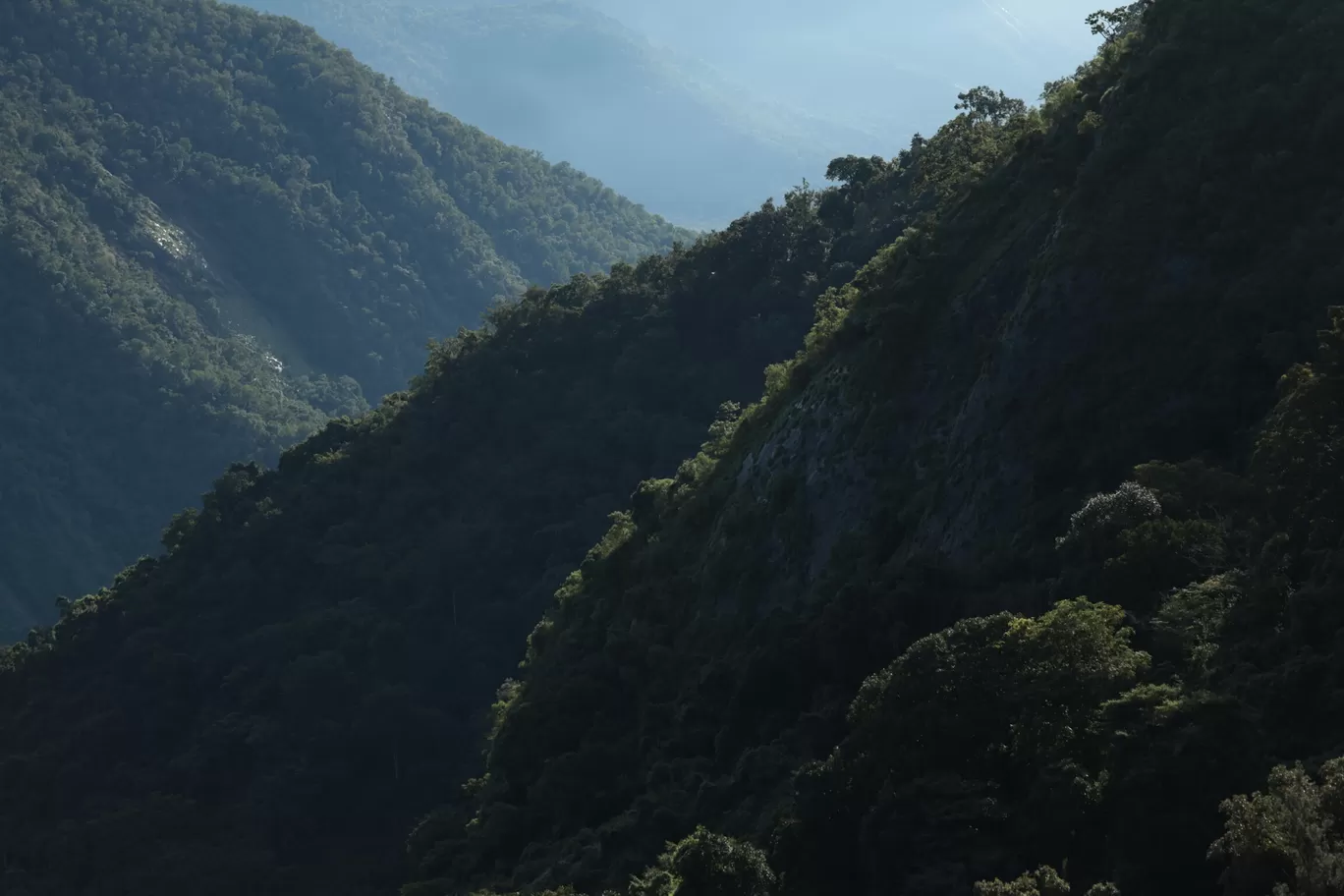 Photo of Vellagavi - Kodaikanal Trail By Anand Johnson