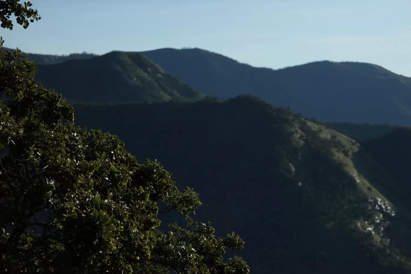 Photo of Vellagavi - Kodaikanal Trail By Anand Johnson