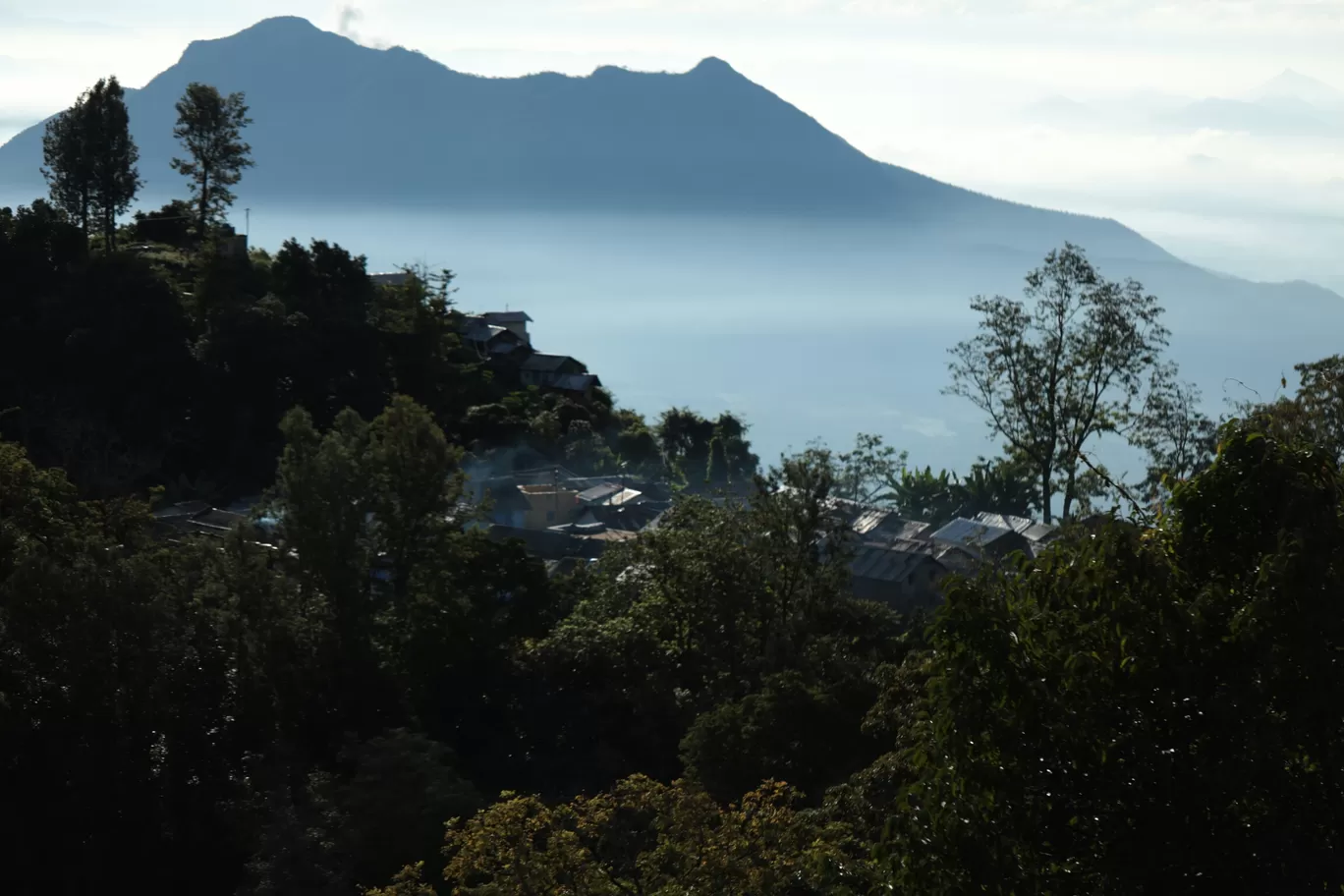 Photo of Vellagavi - Kodaikanal Trail By Anand Johnson