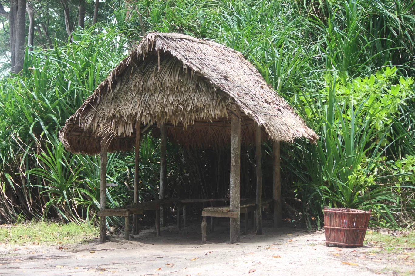 Photo of Andaman and Nicobar Islands By Travellers Path By Nestor P Simon
