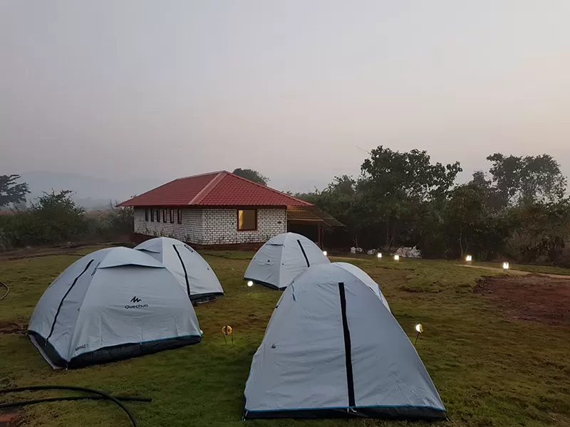Photo of Forganic Farm & Agro Tourism By Bigfoot Stay