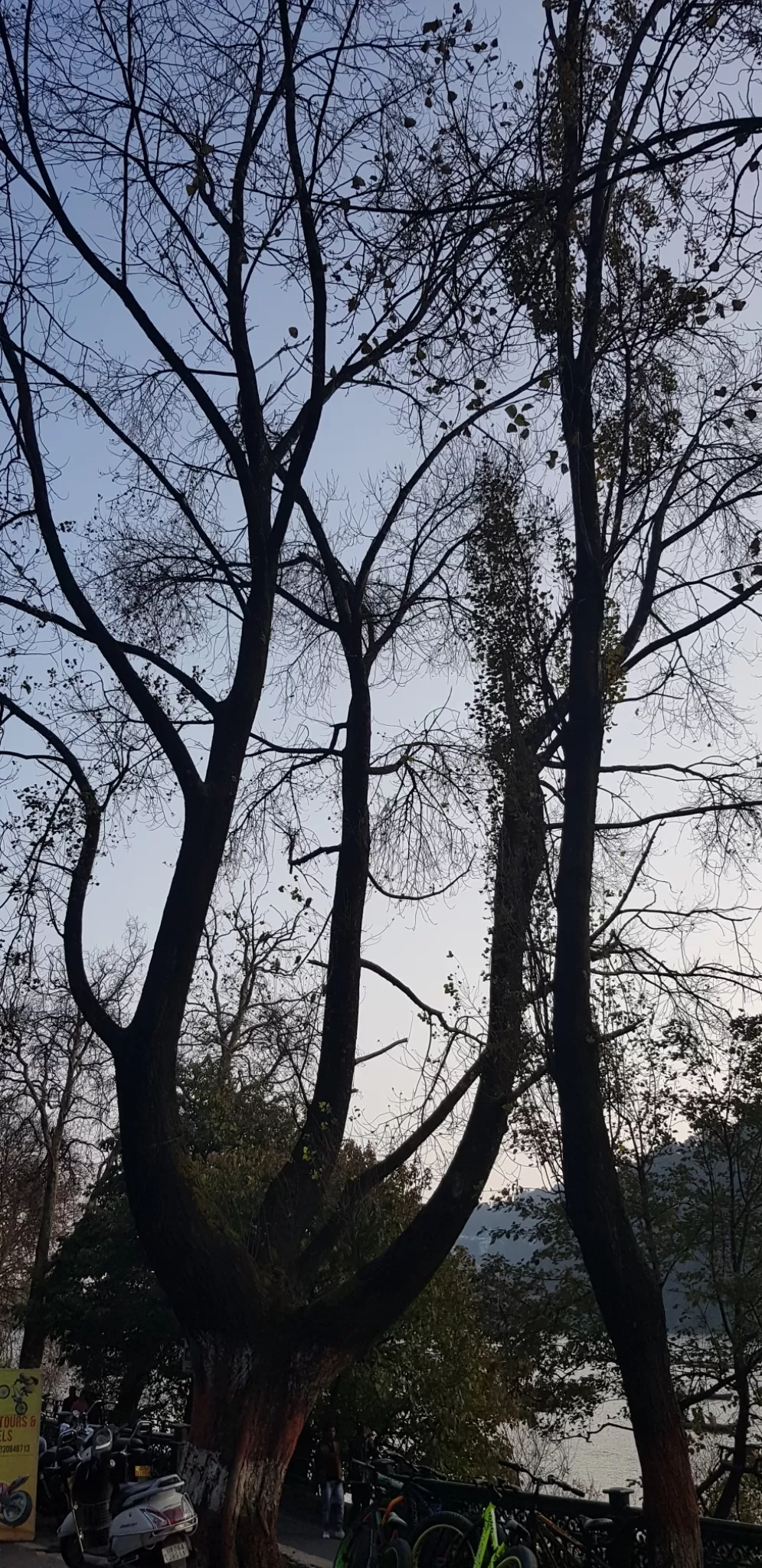 Photo of Nainital Lake By harmish