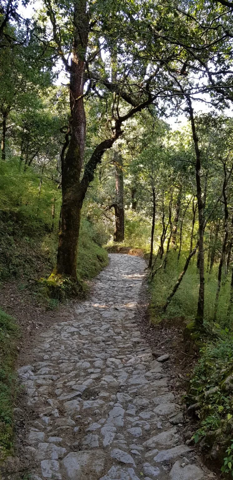 Photo of Nainital Lake By harmish