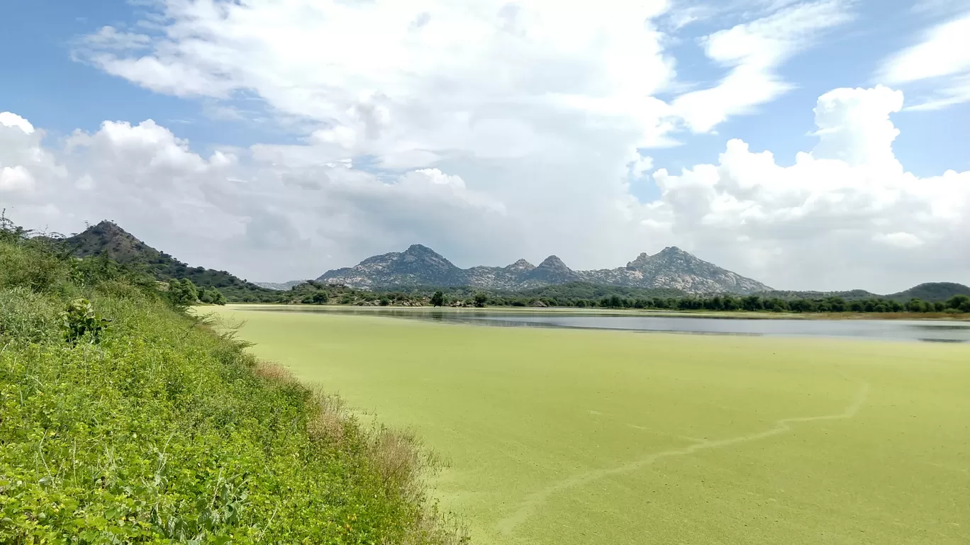Photo of Aravalli Range By Raja Singh