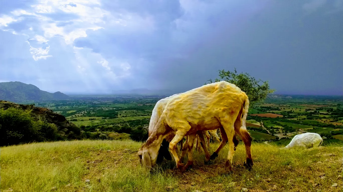 Photo of Aravalli Range By Raja Singh