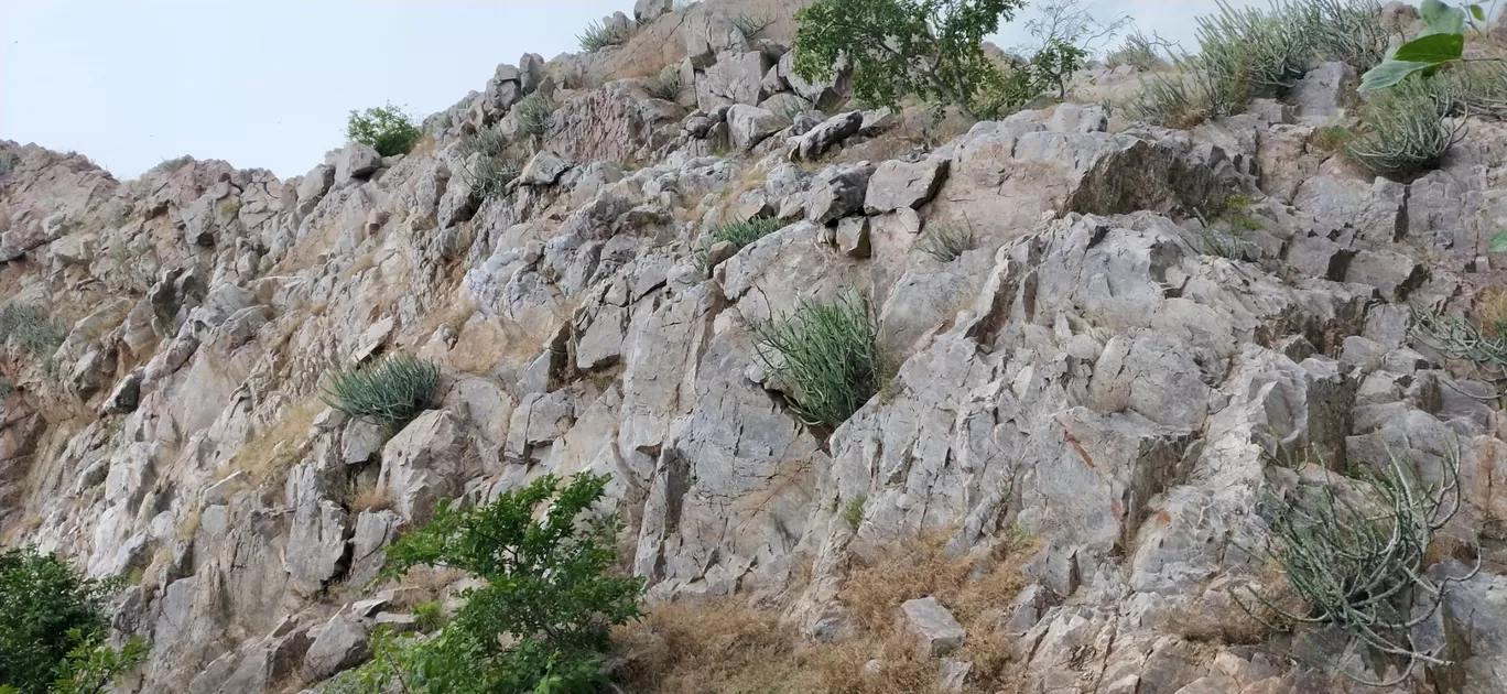 Photo of Jambughoda Wildlife Sanctuary By Kishan Shah