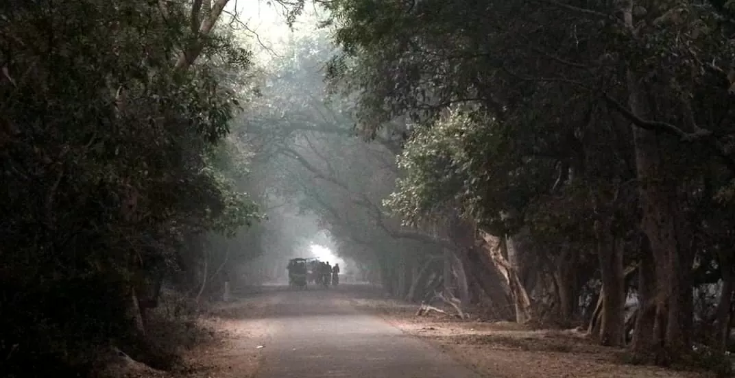 Photo of Keoladeo National Park By Carpe Diem ~ P@¥@L