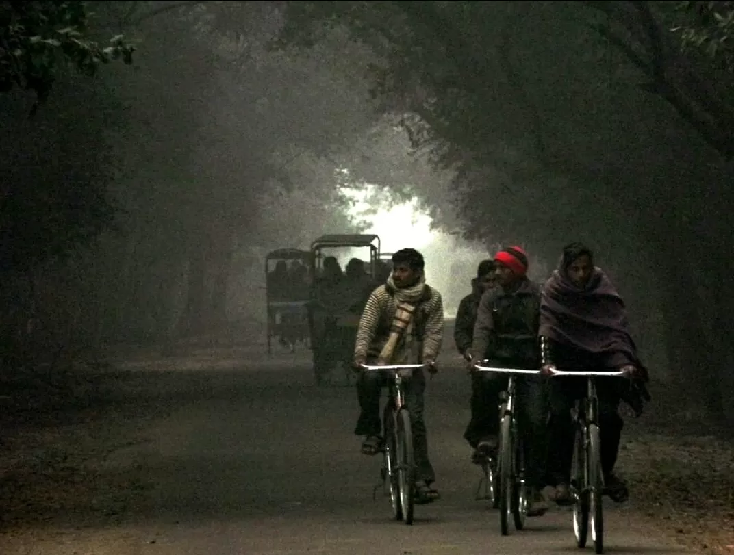 Photo of Keoladeo National Park By Carpe Diem ~ P@¥@L