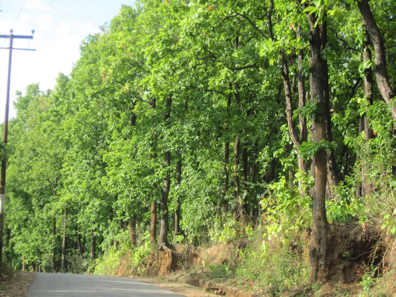 Photo of Dehradun By Carpe Diem ~ P@¥@L