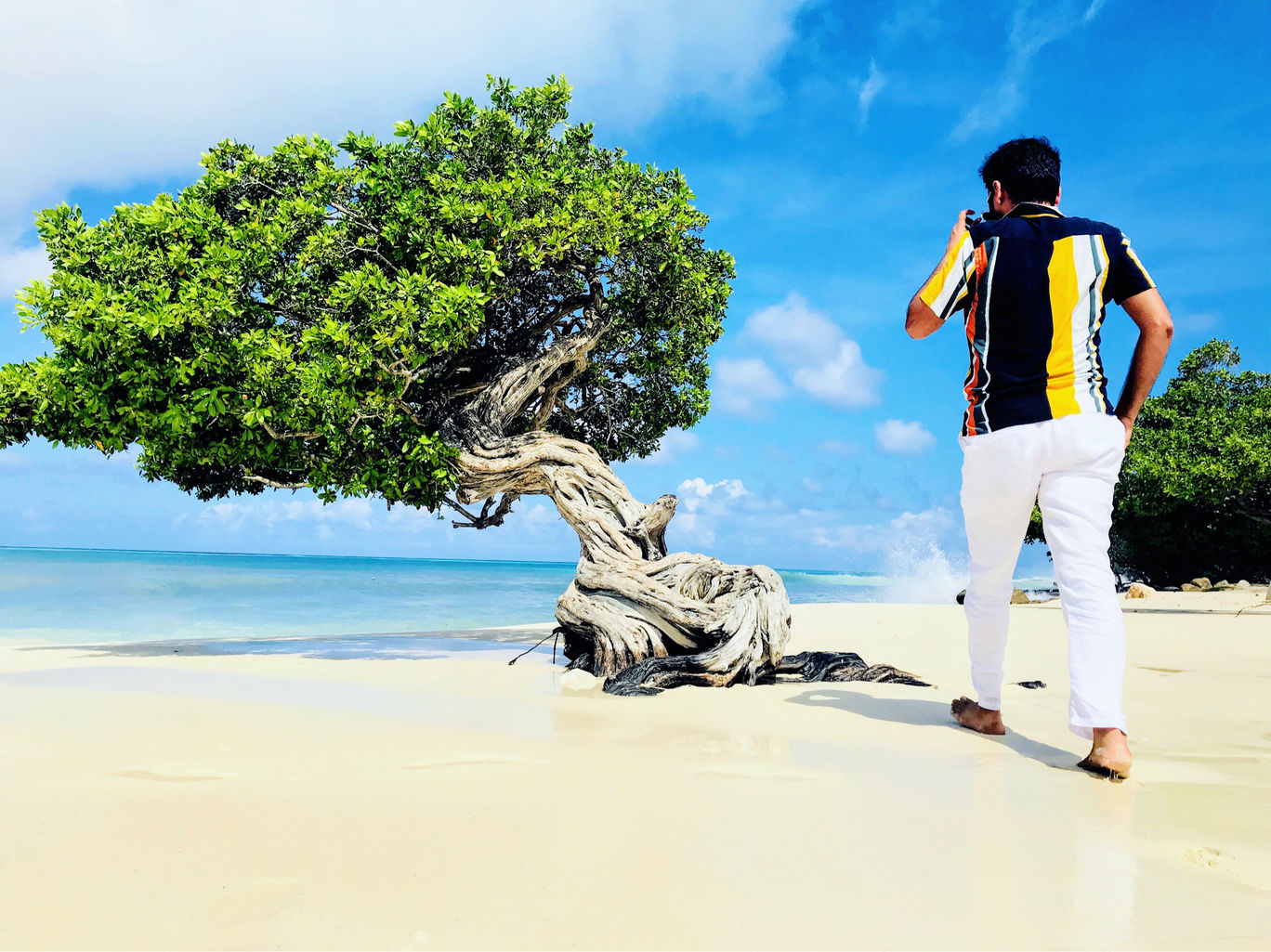 Photo of Aruba : Caribbean Island, more than beaches ! By Bhanu Tyagi