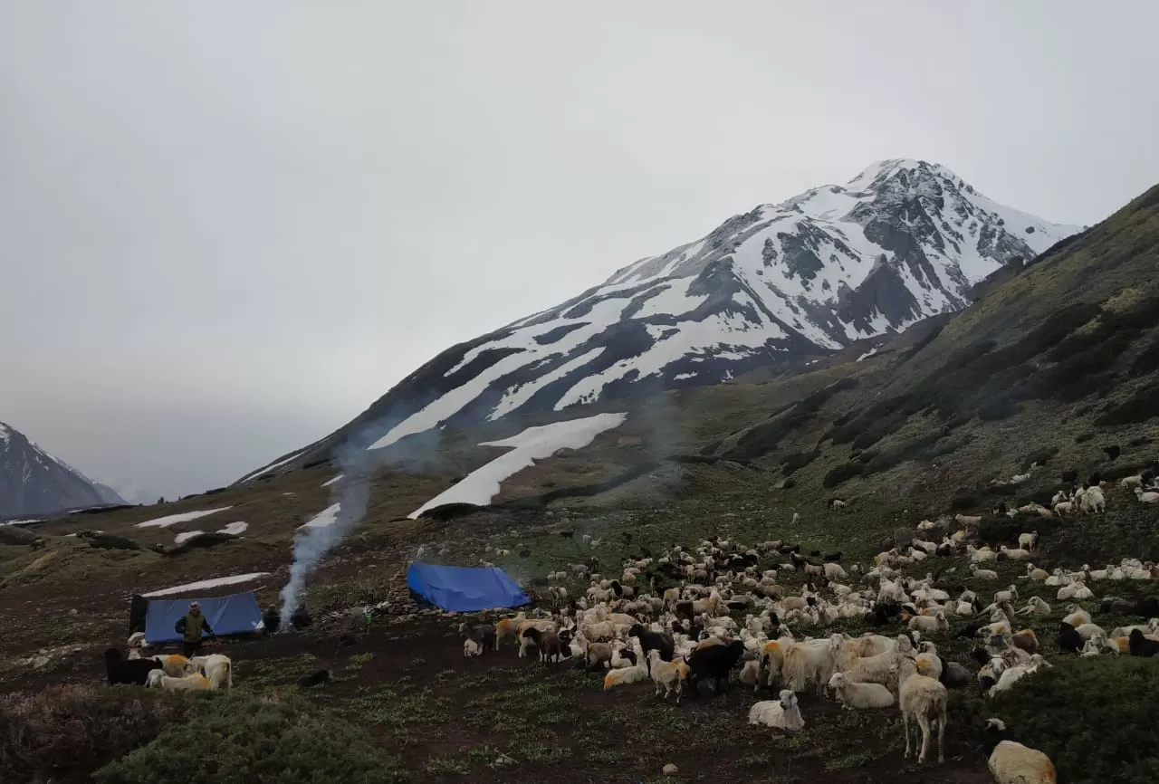 Photo of Dharchula By Bhagwan singh sipal
