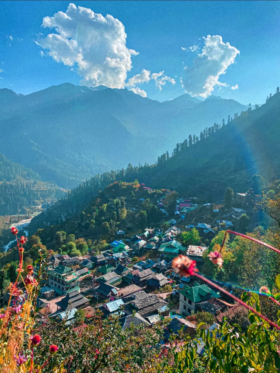 Photo of Tosh By ishan kalra