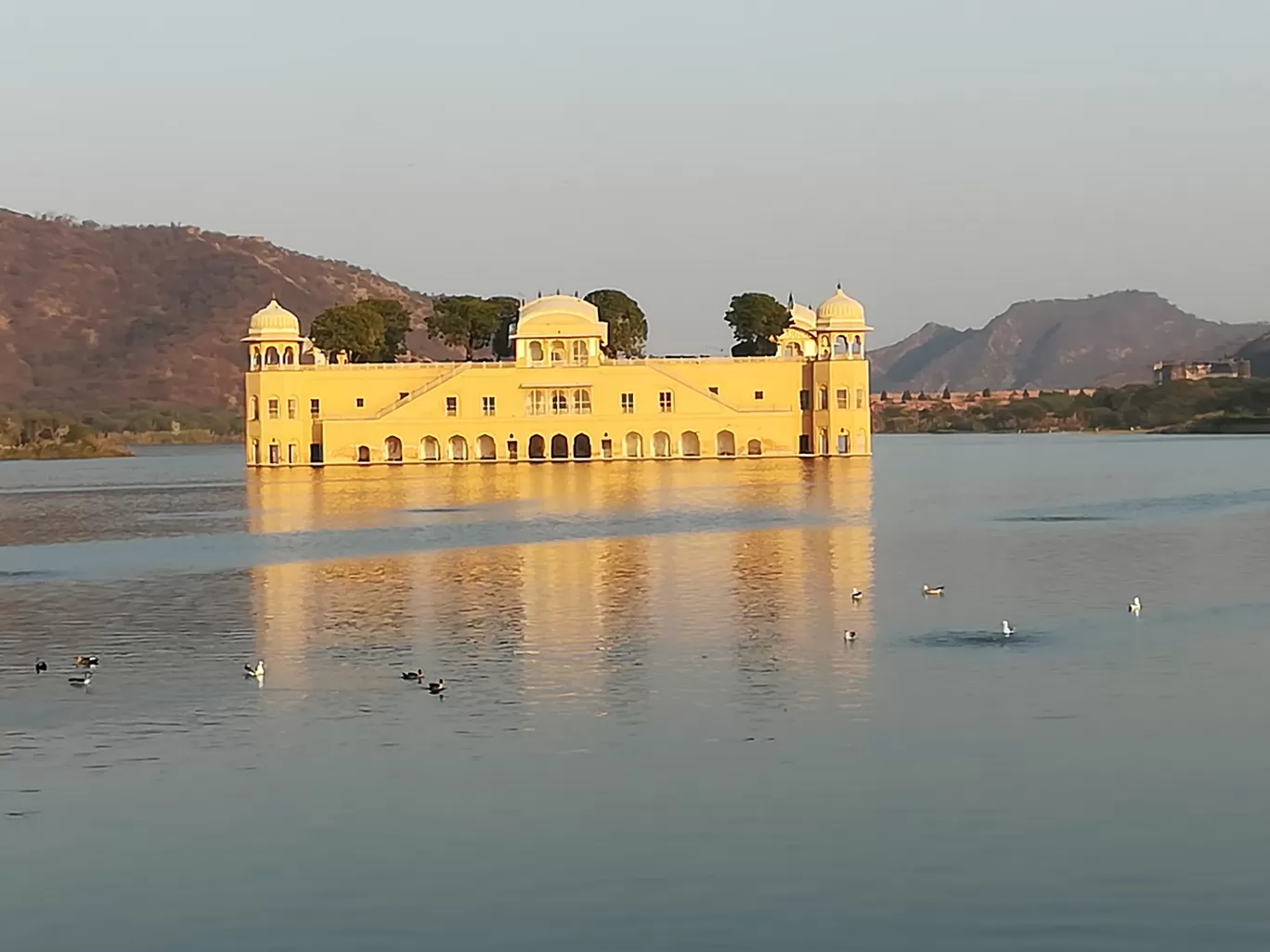 Photo of Jal Mahal By Dilip2all