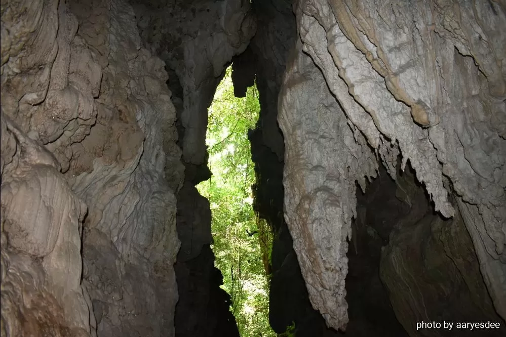 Photo of Limestone Cave Baratang By aaryesdee