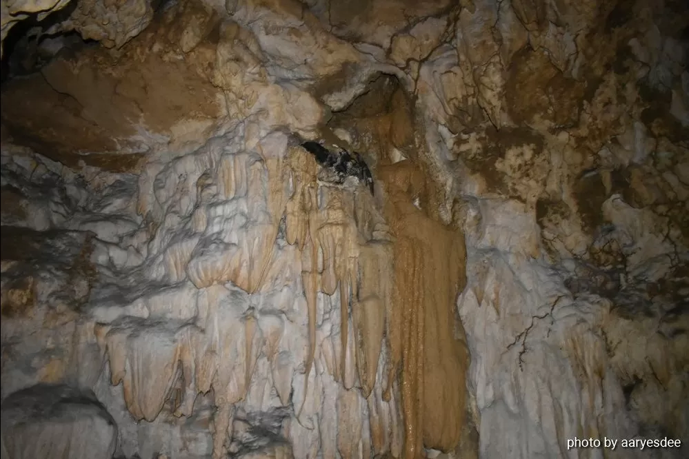 Photo of Limestone Cave Baratang By aaryesdee