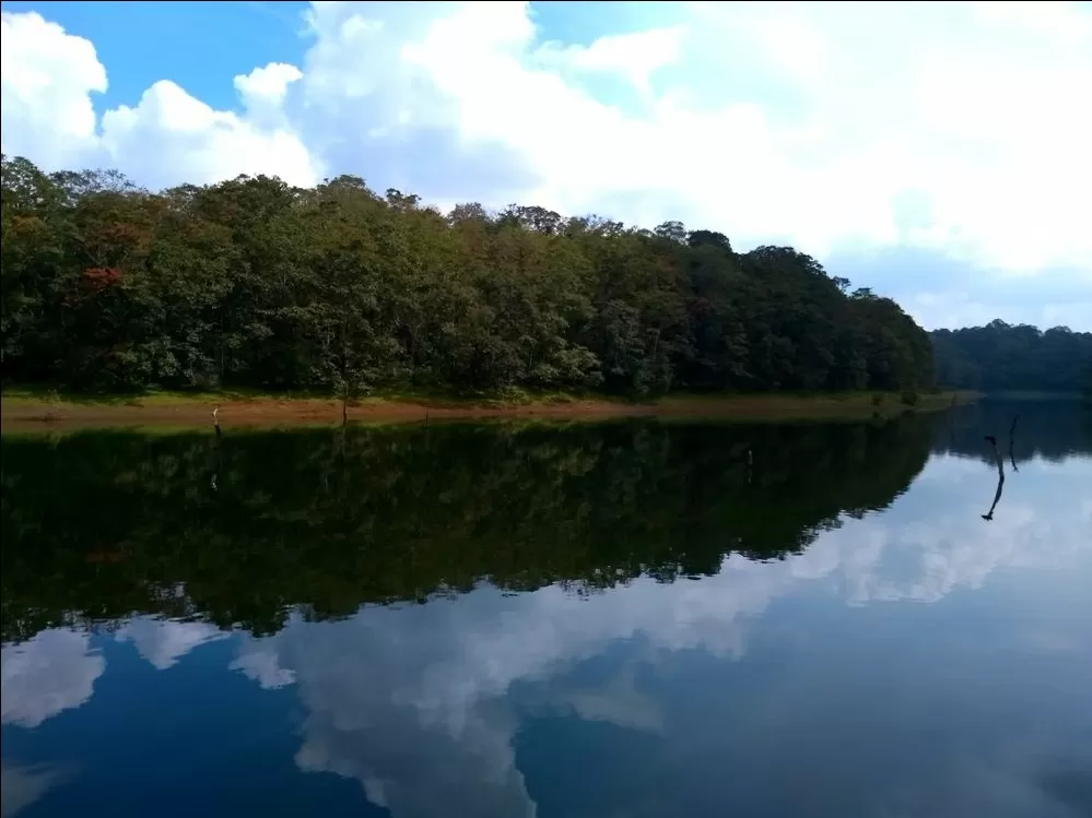 Photo of Periyar Tiger Reserve By aaryesdee