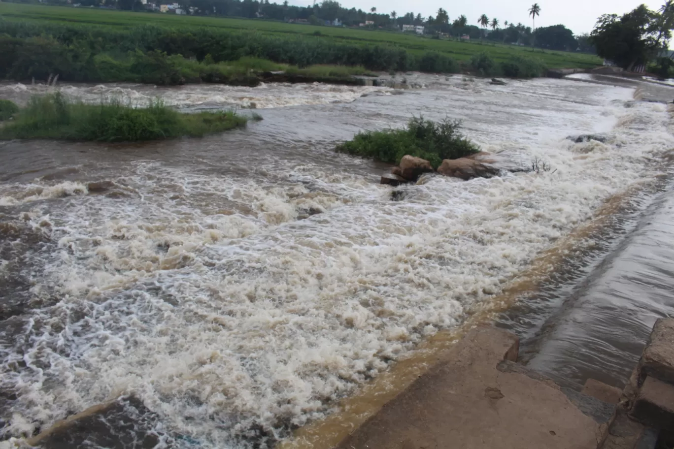 Photo of Theni - Kollam Highway By SUNDAR MANU