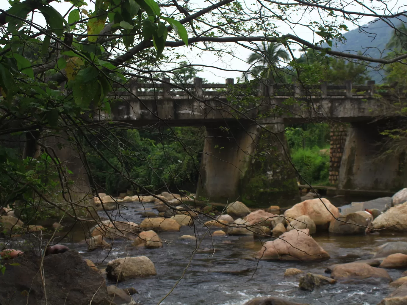 Photo of Kurangani By SUNDAR MANU