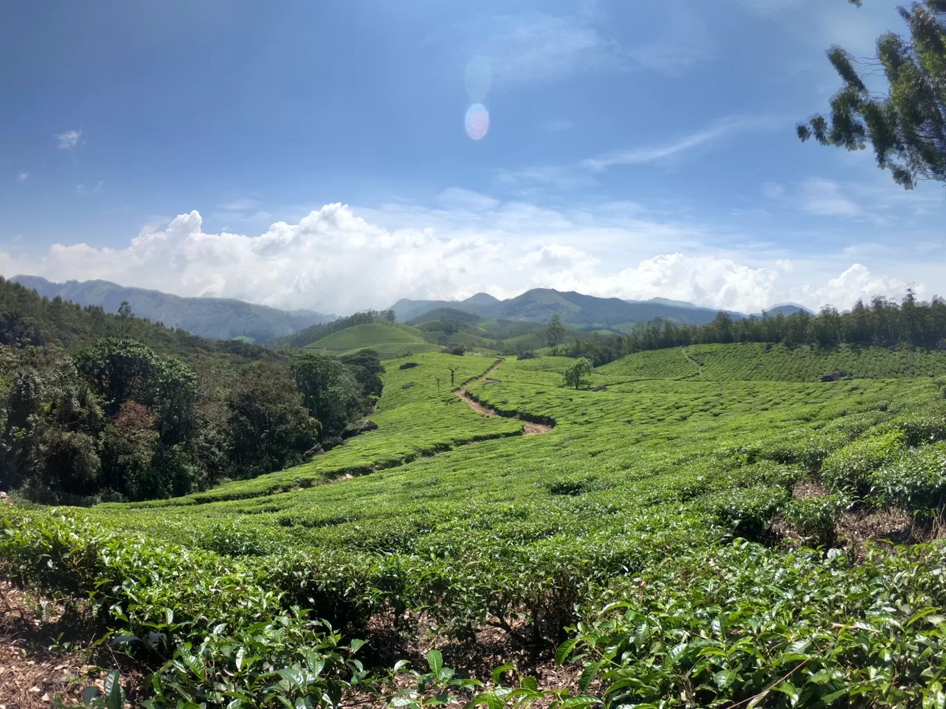 Photo of Eravikulam National Park By The Traveller Cart