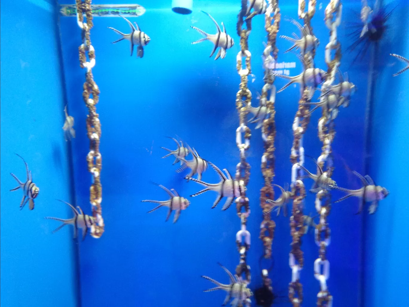 Photo of Aquaria KLCC By Kannan