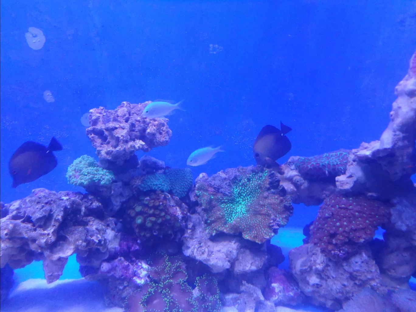 Photo of Aquaria KLCC By Kannan